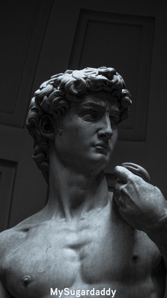 the statue of David, by Michelangelo